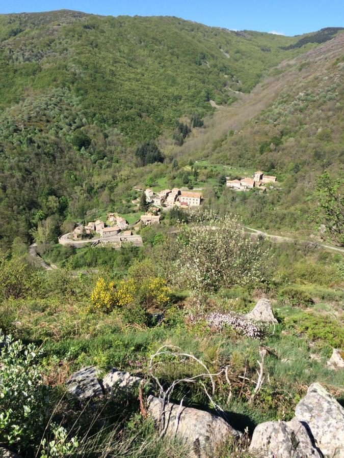 La Bombine Villa Pereyres Exteriör bild